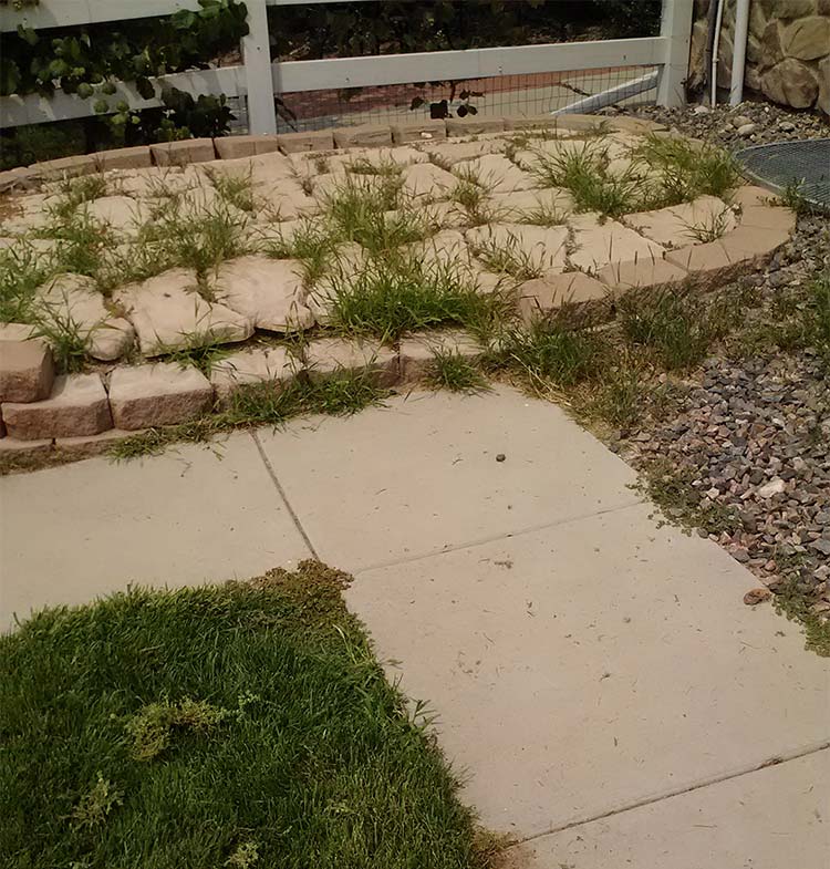 Weed Removal Services Near Me Clc Landscaping : Clc Landscape &Amp; Irrigation